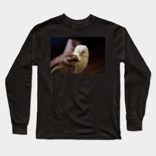 Baby chicks Long Sleeve T-Shirt